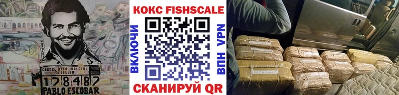 COCAIN FishScale Купить закладки Подпорожье