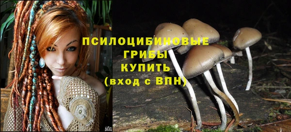 не бодяженный Дмитровск